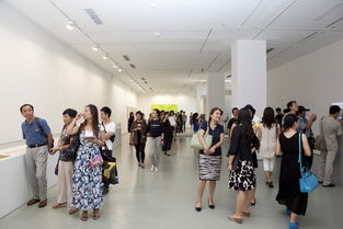 第十二屆全國(guó)美展實(shí)驗(yàn)藝術(shù)展區(qū)在北京開(kāi)幕 推動(dòng)文化藝術(shù)交流新篇章